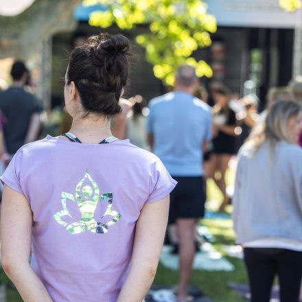 YOGA JUNKIES FESTIVAL 2026 - Samstag