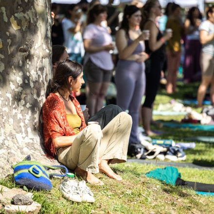 YOGA JUNKIES FESTIVAL 2026 - Samstag