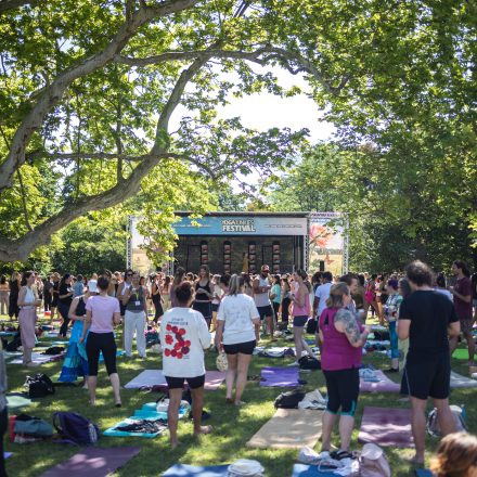 YOGA JUNKIES FESTIVAL 2026 - Samstag