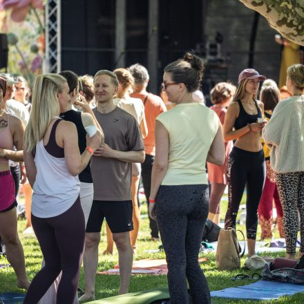 YOGA JUNKIES FESTIVAL 2026 - Samstag