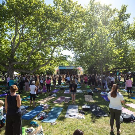 YOGA JUNKIES FESTIVAL 2026 - Samstag