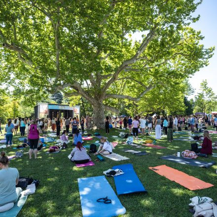 YOGA JUNKIES FESTIVAL 2026 - Samstag