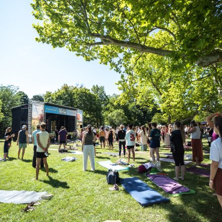 YOGA JUNKIES FESTIVAL 2026 - Samstag