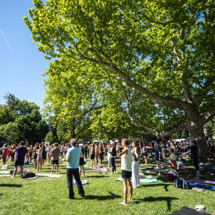 YOGA JUNKIES FESTIVAL 2026 - Samstag