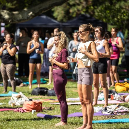 YOGA JUNKIES FESTIVAL 2026 - Samstag