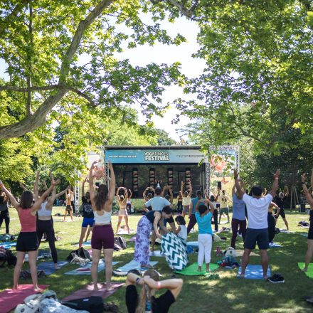 YOGA JUNKIES FESTIVAL 2026 - Samstag