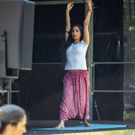 YOGA JUNKIES FESTIVAL 2026 - Samstag