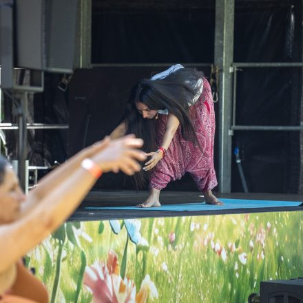 YOGA JUNKIES FESTIVAL 2026 - Samstag