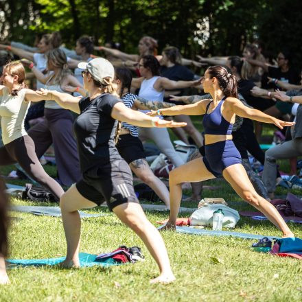 YOGA JUNKIES FESTIVAL 2026 - Samstag