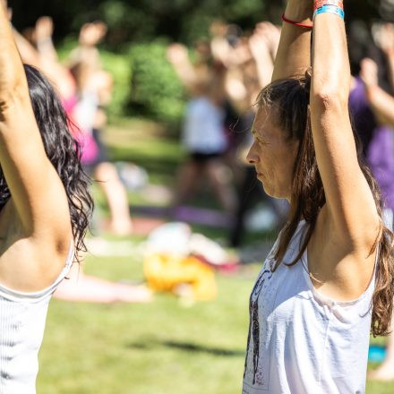 YOGA JUNKIES FESTIVAL 2026 - Samstag