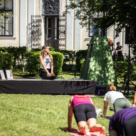 YOGA JUNKIES FESTIVAL 2026 - Samstag