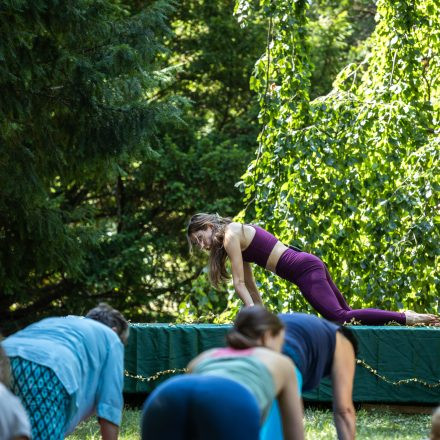 YOGA JUNKIES FESTIVAL 2026 - Samstag