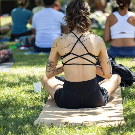 YOGA JUNKIES FESTIVAL 2026 - Samstag