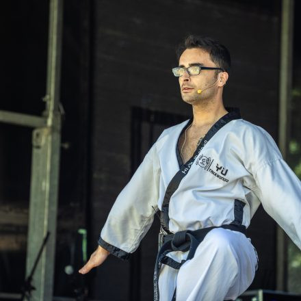 YOGA JUNKIES FESTIVAL 2026 - Samstag
