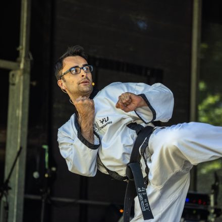 YOGA JUNKIES FESTIVAL 2026 - Samstag