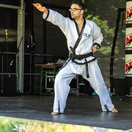 YOGA JUNKIES FESTIVAL 2026 - Samstag