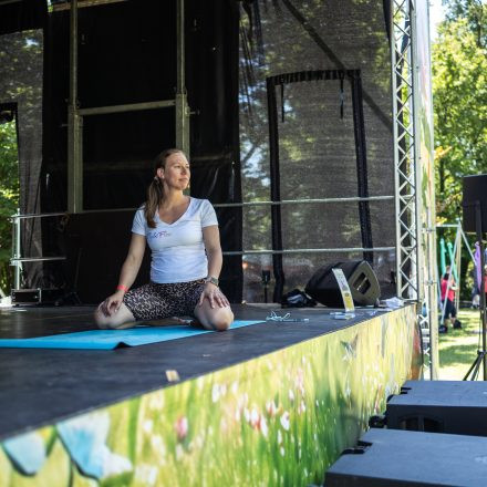 YOGA JUNKIES FESTIVAL 2026 - Samstag