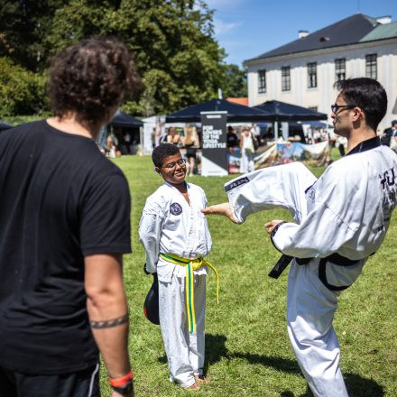 YOGA JUNKIES FESTIVAL 2026 - Samstag