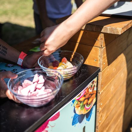 YOGA JUNKIES FESTIVAL 2026 - Samstag