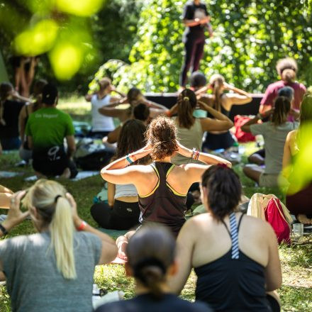YOGA JUNKIES FESTIVAL 2026 - Samstag