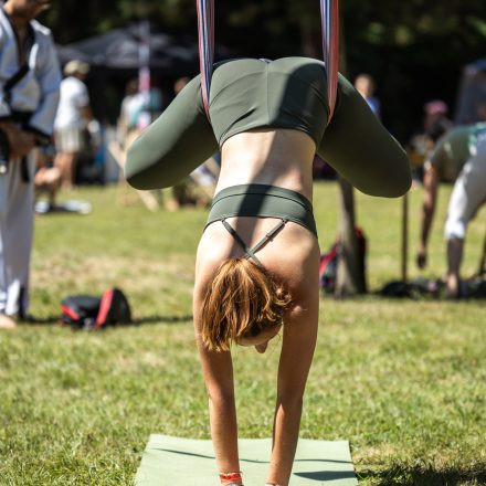 YOGA JUNKIES FESTIVAL 2026 - Samstag