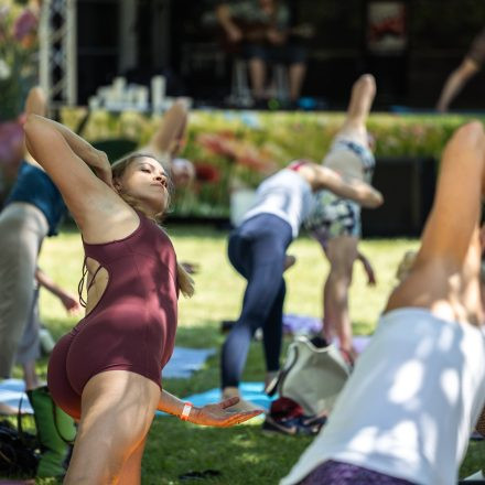 YOGA JUNKIES FESTIVAL 2026 - Samstag