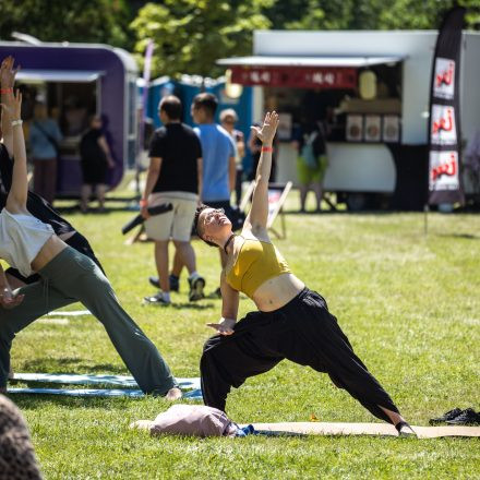 YOGA JUNKIES FESTIVAL 2026 - Samstag