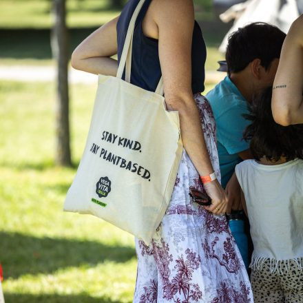 YOGA JUNKIES FESTIVAL 2026 - Samstag