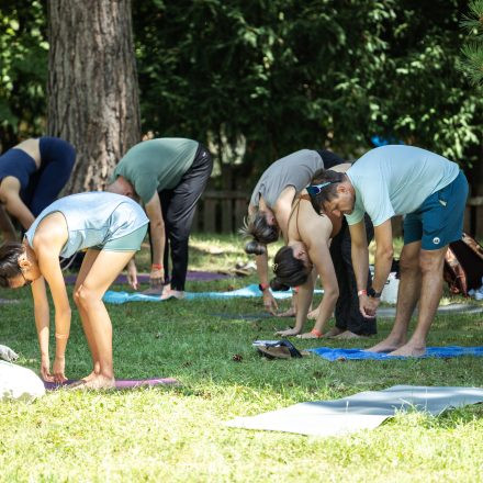 YOGA JUNKIES FESTIVAL 2026 - Samstag