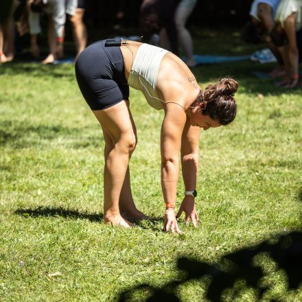 YOGA JUNKIES FESTIVAL 2026 - Samstag