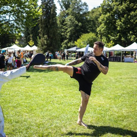 YOGA JUNKIES FESTIVAL 2026 - Samstag