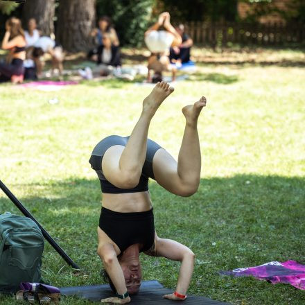 YOGA JUNKIES FESTIVAL 2026 - Samstag