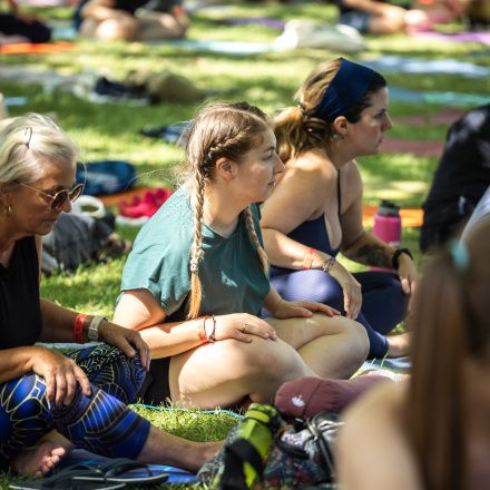 YOGA JUNKIES FESTIVAL 2026 - Samstag