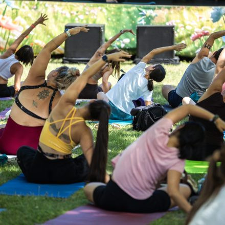 YOGA JUNKIES FESTIVAL 2026 - Samstag