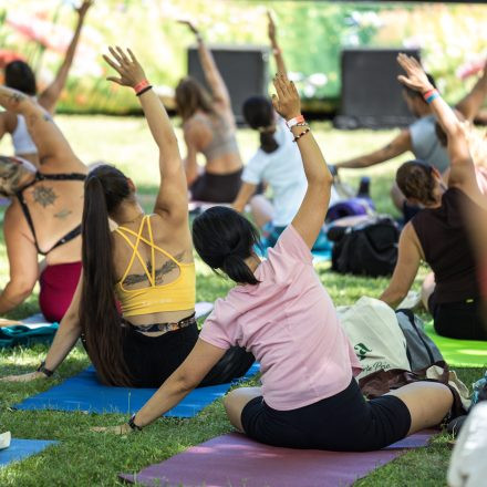 YOGA JUNKIES FESTIVAL 2026 - Samstag