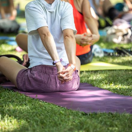 YOGA JUNKIES FESTIVAL 2026 - Samstag