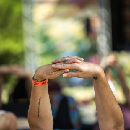 YOGA JUNKIES FESTIVAL 2026 - Samstag