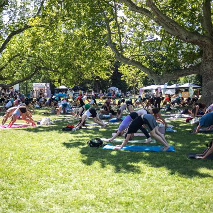 YOGA JUNKIES FESTIVAL 2026 - Samstag