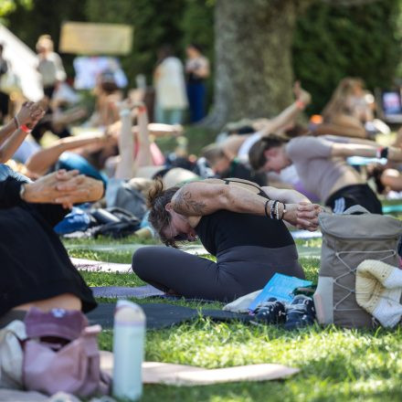 YOGA JUNKIES FESTIVAL 2026 - Samstag