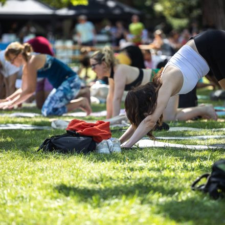 YOGA JUNKIES FESTIVAL 2026 - Samstag