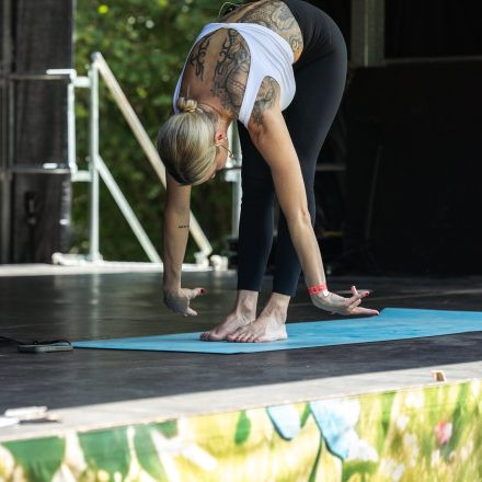 YOGA JUNKIES FESTIVAL 2026 - Samstag