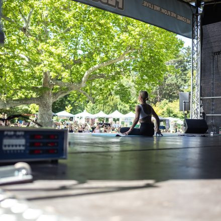 YOGA JUNKIES FESTIVAL 2026 - Samstag