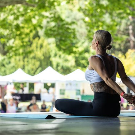 YOGA JUNKIES FESTIVAL 2026 - Samstag