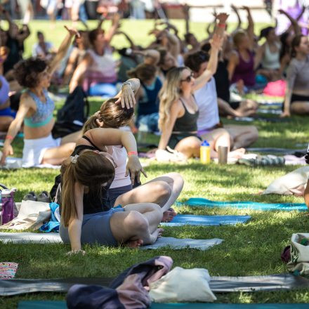 YOGA JUNKIES FESTIVAL 2026 - Samstag
