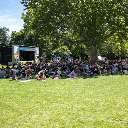 YOGA JUNKIES FESTIVAL 2026 - Samstag