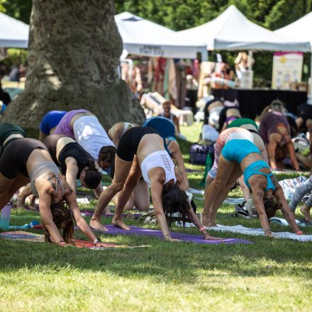 YOGA JUNKIES FESTIVAL 2026 - Samstag