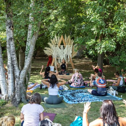 YOGA JUNKIES FESTIVAL 2026 - Samstag