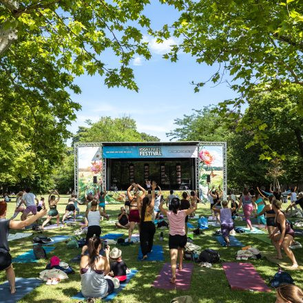 YOGA JUNKIES FESTIVAL 2026 - Samstag