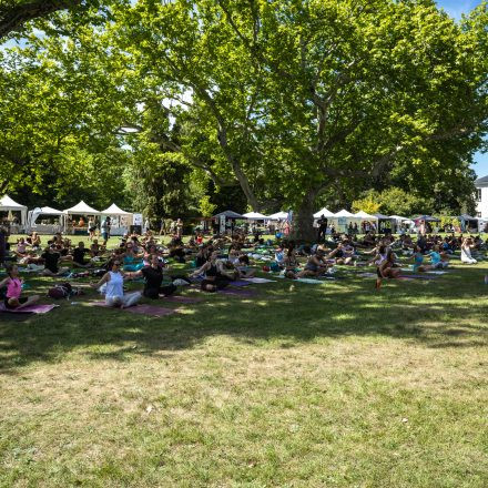 YOGA JUNKIES FESTIVAL 2026 - Samstag