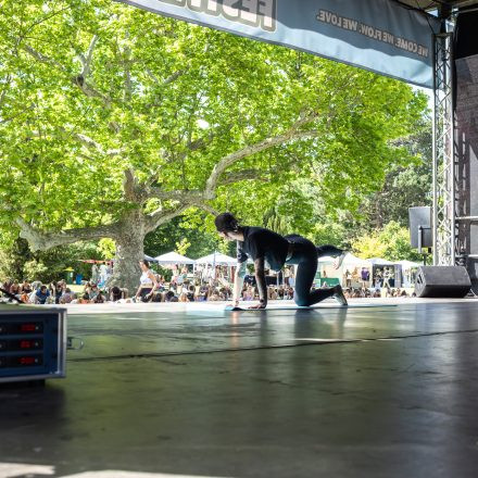 YOGA JUNKIES FESTIVAL 2026 - Samstag